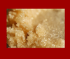 Butter Sugar Cookie Body Scrub